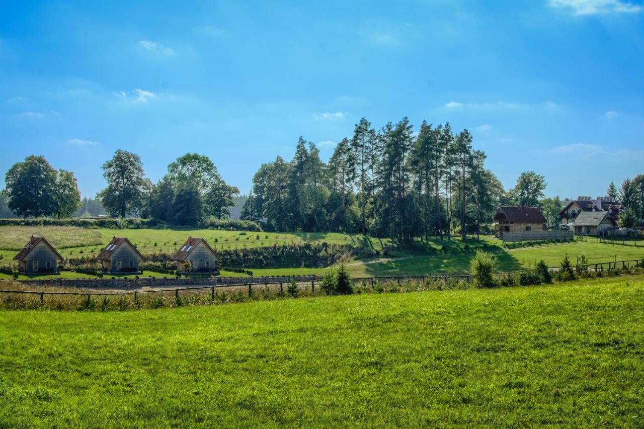 Oaza Mazurska - Willa Lasek Piecki  Esterno foto
