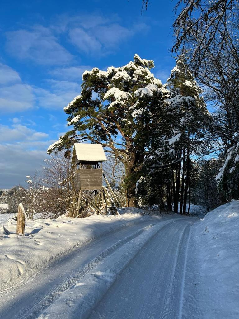 Oaza Mazurska - Willa Lasek Piecki  Esterno foto