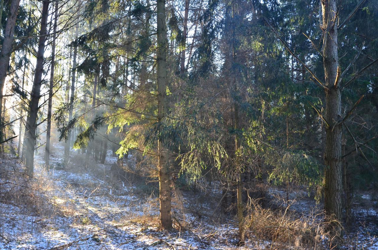 Oaza Mazurska - Willa Lasek Piecki  Esterno foto